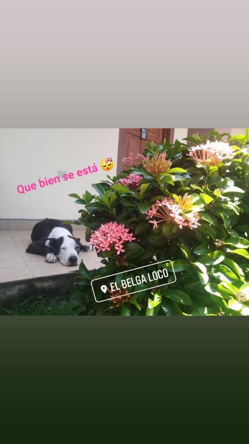 מלון Las Peñitas El Belga Loco מראה חיצוני תמונה
