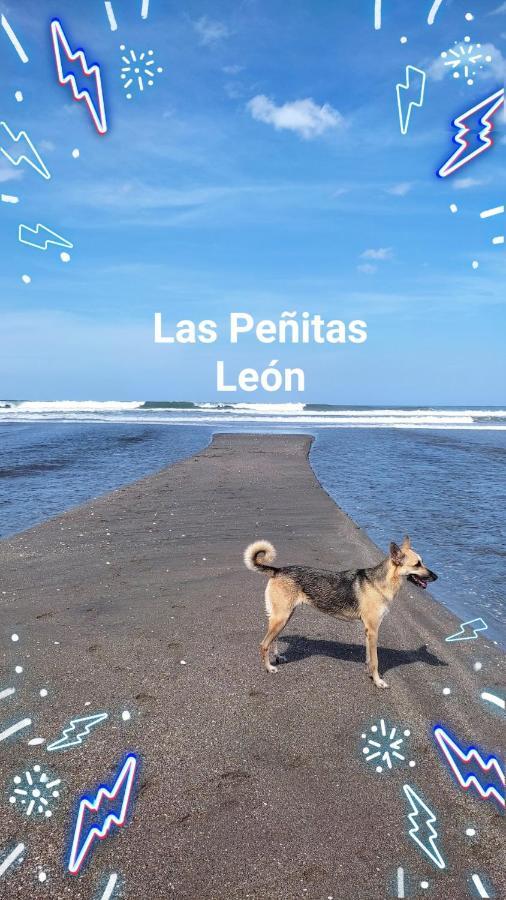 מלון Las Peñitas El Belga Loco מראה חיצוני תמונה